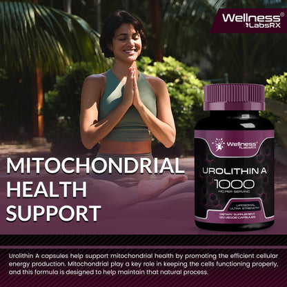 Urolithin A Supplement Capsules 1,000mg (98.9% Pure) – Advanced Urolithin A+ Formula for Cellular Renewal & Mitochondrial Support - Maple Wellness Supplements