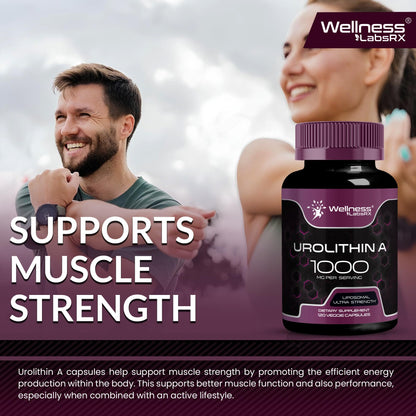 Urolithin A Supplement Capsules 1,000mg (98.9% Pure) – Advanced Urolithin A+ Formula for Cellular Renewal & Mitochondrial Support - Maple Wellness Supplements