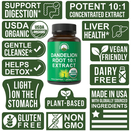 USDA Organic Dandelion Root Extract Supplement - 10x More Potent Than Raw Root. Standardized and Concentrated Vegan Dandelion Root Capsules for Women and Men. Supports Detox, Immune, Liver, Gut Health - Maple Wellness Supplements
