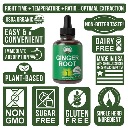 USDA Organic Ginger Root Extract Liquid Drops. Zero Sugar, Non Bitter Vegan Ginger Oil Supplement for Immune, Digestive + Gut Support. High Bioavailability, Gluten Free for Women and Men. Take Orally - Maple Wellness Supplements
