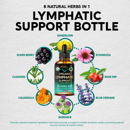 USDA Organic Lymphatic Drainage Supplement - Echinacea | Elderberry | Dandelion | Rosehip | Cleavers | Calendula | Burdock - Made in USA - Lymph System Drops - Maple Wellness Supplements