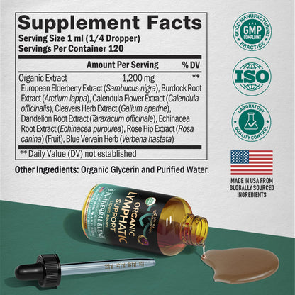 USDA Organic Lymphatic Drainage Supplement - Echinacea | Elderberry | Dandelion | Rosehip | Cleavers | Calendula | Burdock - Made in USA - Lymph System Drops - Maple Wellness Supplements