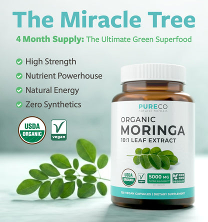 USDA Organic Moringa Capsules - High Potency Organic Moringa 500mg Extract 10:1 Per 1 Capsule Serving - Nutrient Dense Green Superfood Antioxidant - Maple Wellness Supplements