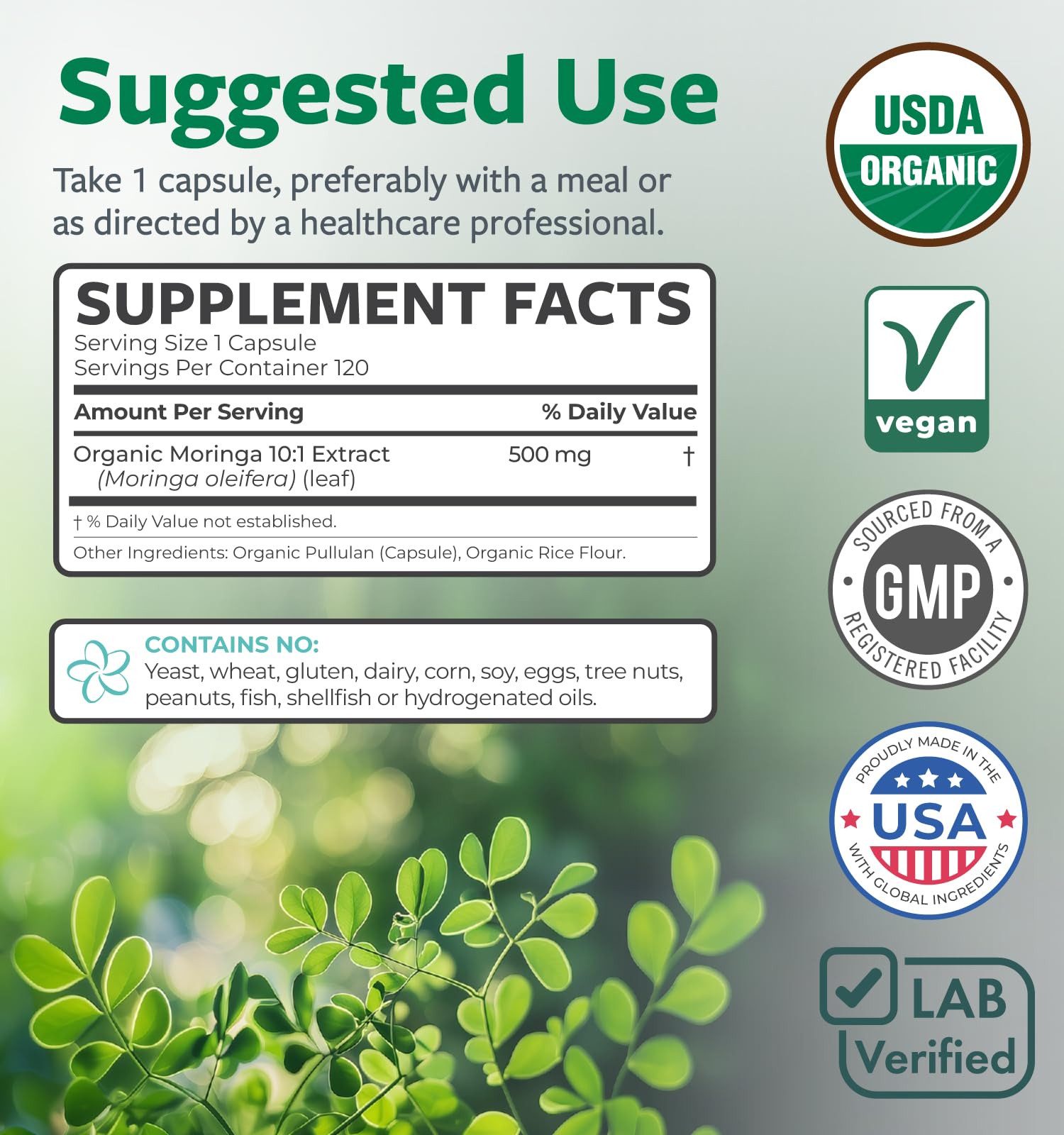 USDA Organic Moringa Capsules - High Potency Organic Moringa 500mg Extract 10:1 Per 1 Capsule Serving - Nutrient Dense Green Superfood Antioxidant - Maple Wellness Supplements
