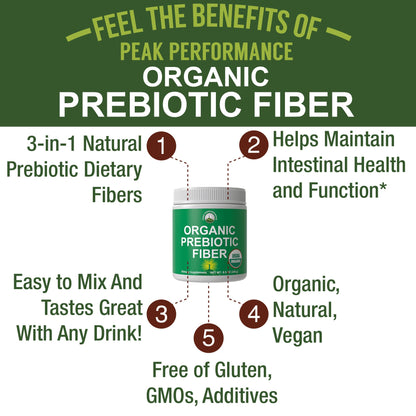 USDA Organic Prebiotic Fiber 3-in-1 Vegan Powder for Gut Health. Raw Whole Food Plant Based Prebiotics Digestive Supplement with Organic Inulin (Jerusalem Artichoke), Acacia Fibers, SunFiber - Maple Wellness Supplements