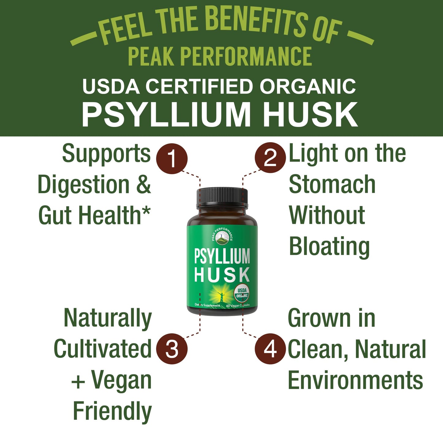 USDA Organic Psyllium Husk Vegan Capsules Made with Organic Psyllium Husk Seed. Fiber Supplement for Gut. Digestive Prebiotics. Pills for Digestion, Roughage Without Bloating. Tablets - Maple Wellness Supplements