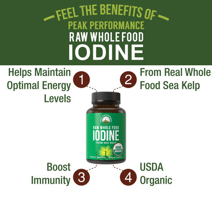 USDA Organic Raw Whole Food Iodine Supplement from Kelp (Ascophyllum Nodosum) - Potassium Iodide Tablets Alternative - for Thyroid, Energy, and Immune Support - 60 Vegan Capsules by Peak Performance - Maple Wellness Supplements