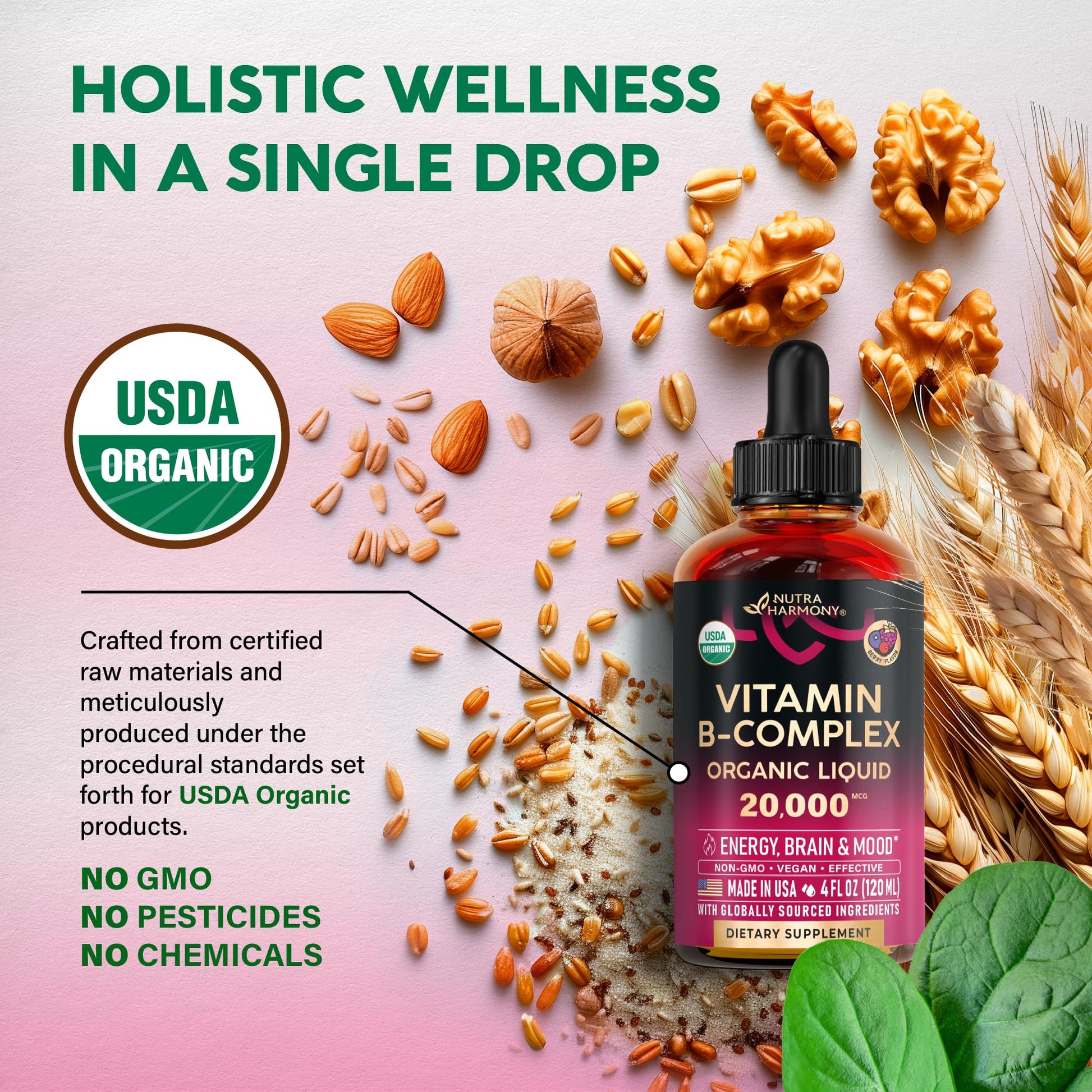 USDA Organic Vitamin B-Complex B5 Pantothenic Acid | B12 Methylcobalamin | B1 Thiamine | B6 Pyridoxine | B7 Biotin | B9 Folic | B3 Niacinamide - Maple Wellness Supplements