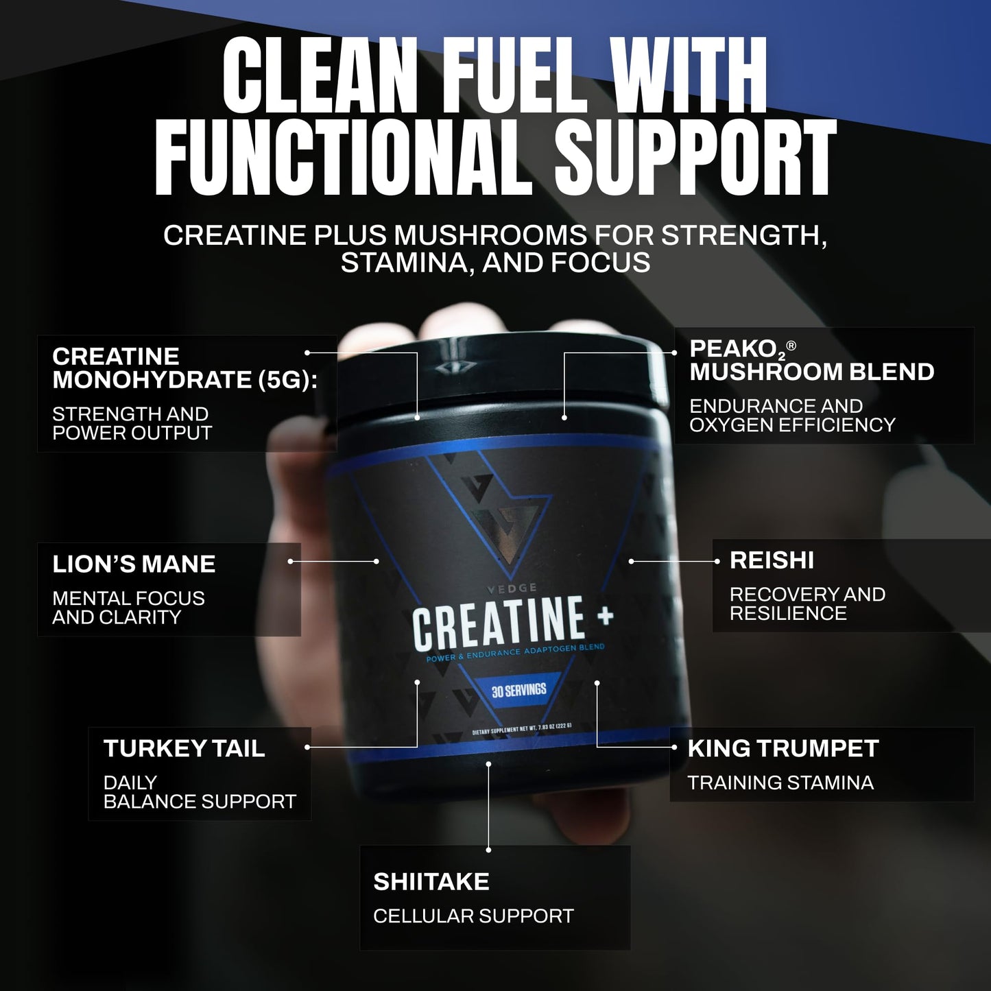 VEDGE Nutrition Creatine + | Vegan Plant-Based Creatine Monohydrate Powder | Energy, Performance & Function | Ergogenic Aids for Athletes | Unflavored, 30 Servings - Maple Wellness Supplements