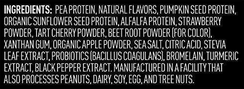 Vega Premium Sport Protein Berry Protein Powder, Vegan, Non GMO, Gluten Free Plant - Maple Wellness Supplements