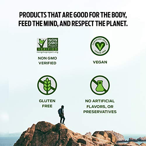 Vega Protein Made Simple, Dark Chocolate - Stevia Free Vegan Protein Powder - Maple Wellness Supplements