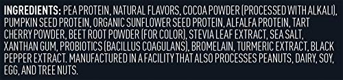 Vega Sport Premium Vegan Protein Powder, Chocolate - 30g Plant Based Protein, 5g BCAA - Maple Wellness Supplements