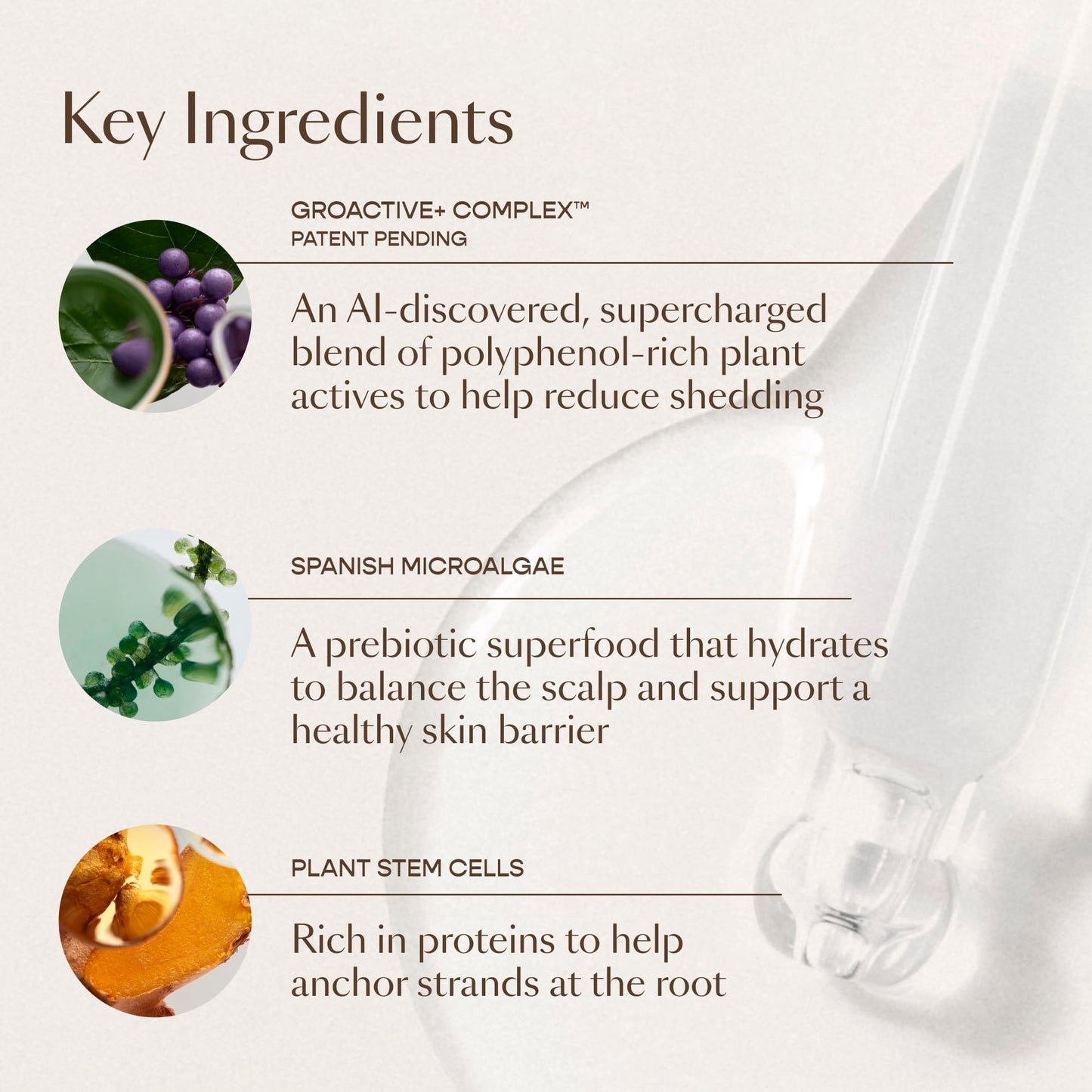 VEGAMOUR GRO+ Advanced Hair Serum for Improving Hair Density, Tonic Reduces Shedding and Promotes a Healthy Scalp, 1 pack - Maple Wellness Supplements