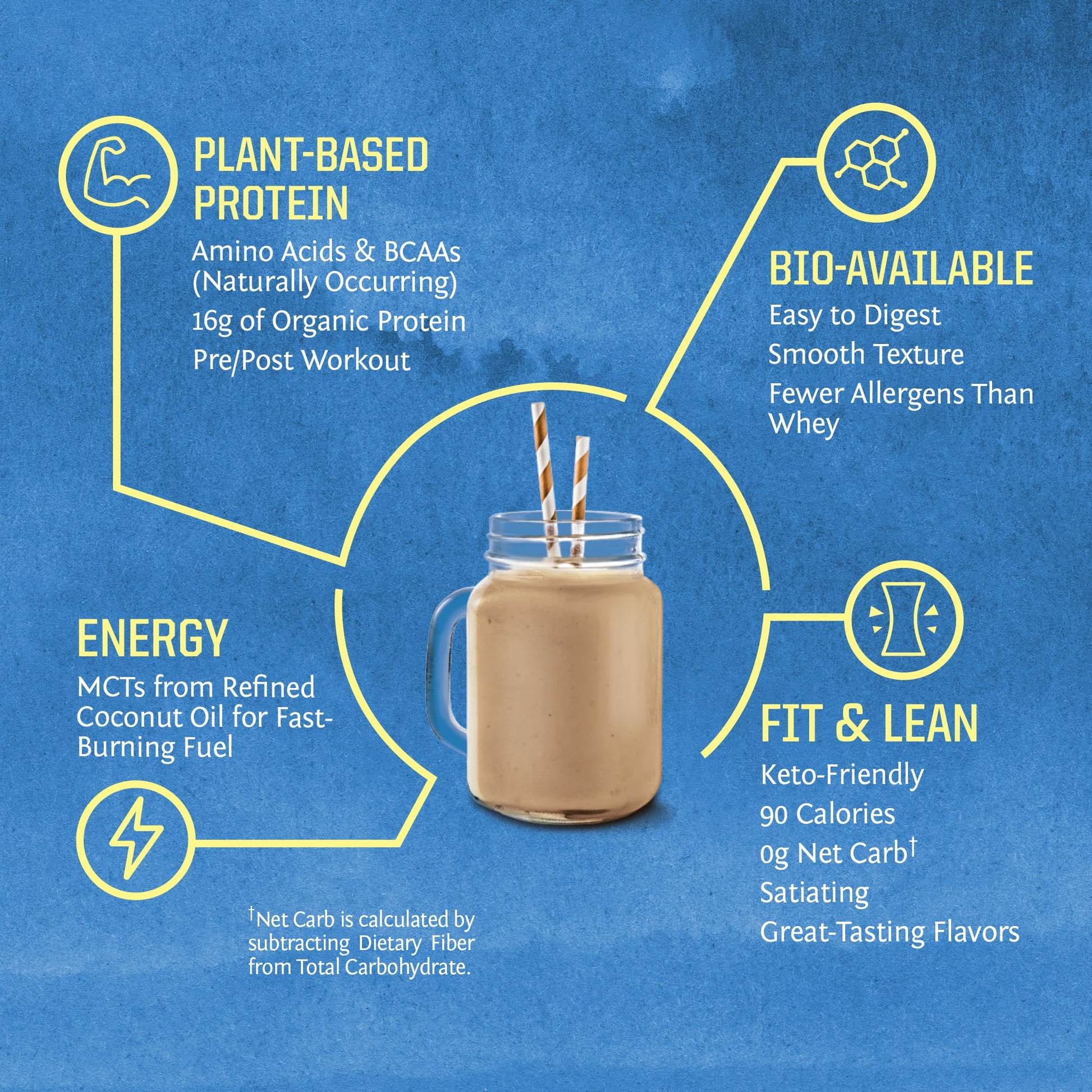 Vegan Protein Powder Plant-based Protein Powder USDA Organic | BCAA Amino Acids - Maple Wellness Supplements