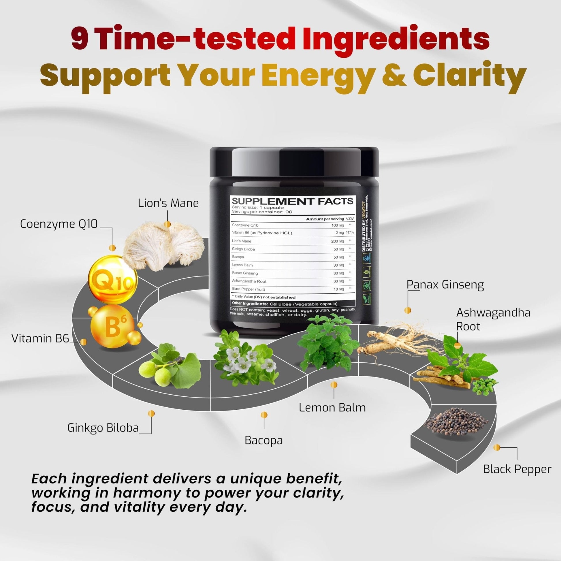 VEGATOT Brain Booster Brain Health Complex Supplement Concentrated with CoQ-10 VIT B6 Lion's Mane Ginkgo Biloba Lemon Balm Ginseng - Maple Wellness Supplements
