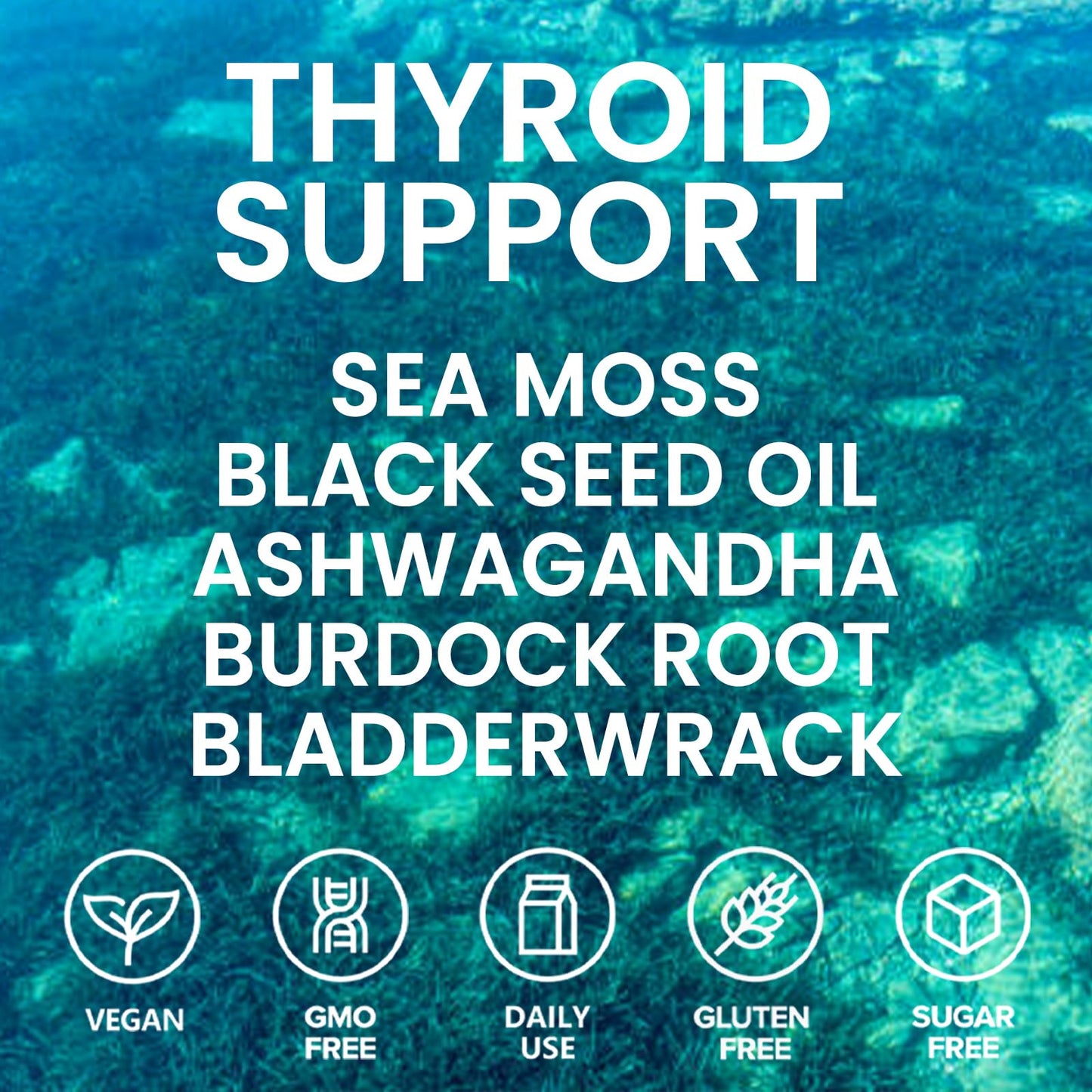 Velestoff Irish Seamoss Thyroid Hormone Regulator, Velestoff Thyroid Support Drops | Sea Moss, Black Seed Oil, Ashwagandha, Burdock Root, Bladderwrack, Hormone Balance & Support - 2 FL.OZ (1 Pcs) - Maple Wellness Supplements