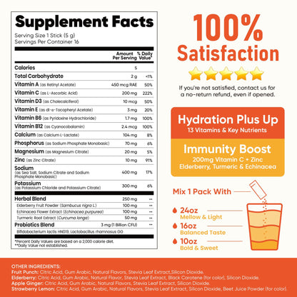 Venture Pal 2-in-1 Hydration + Immune Electrolytes Powder Packets with 7 Electrolytes & 6 Vitamins, Elderberry, Turmeric, Echinacea | Liquid Daily IV Drink Mix - Maple Wellness Supplements