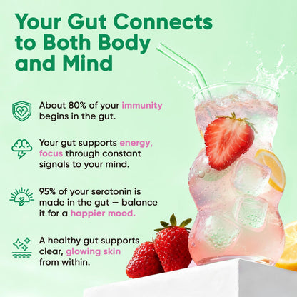 Venture Pal 2-in-1 Hydration Packets + Gut Health Electrolytes Powder - 7 Electrolytes & 5 Vitamins, Probiotics - Maple Wellness Supplements
