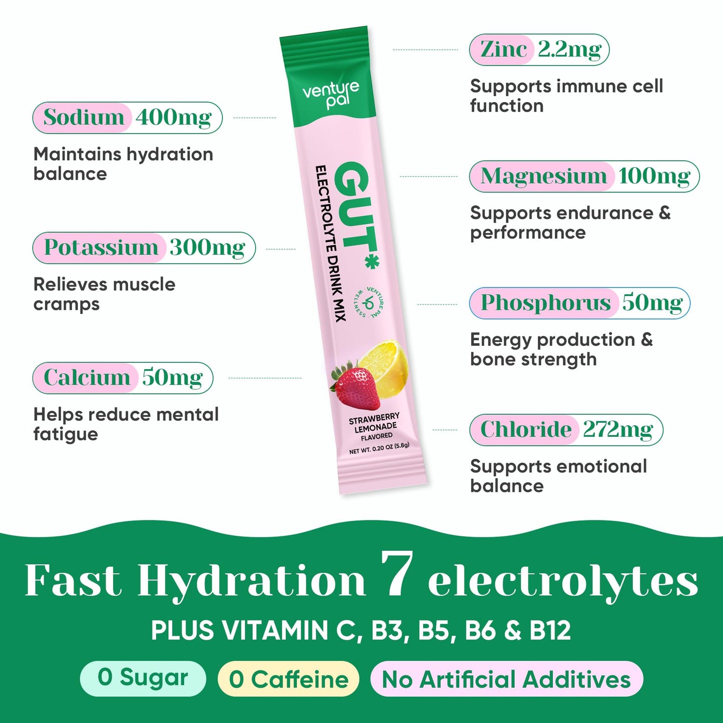 Venture Pal 2-in-1 Hydration Packets + Gut Health Electrolytes Powder - 7 Electrolytes & 5 Vitamins, Probiotics - Maple Wellness Supplements