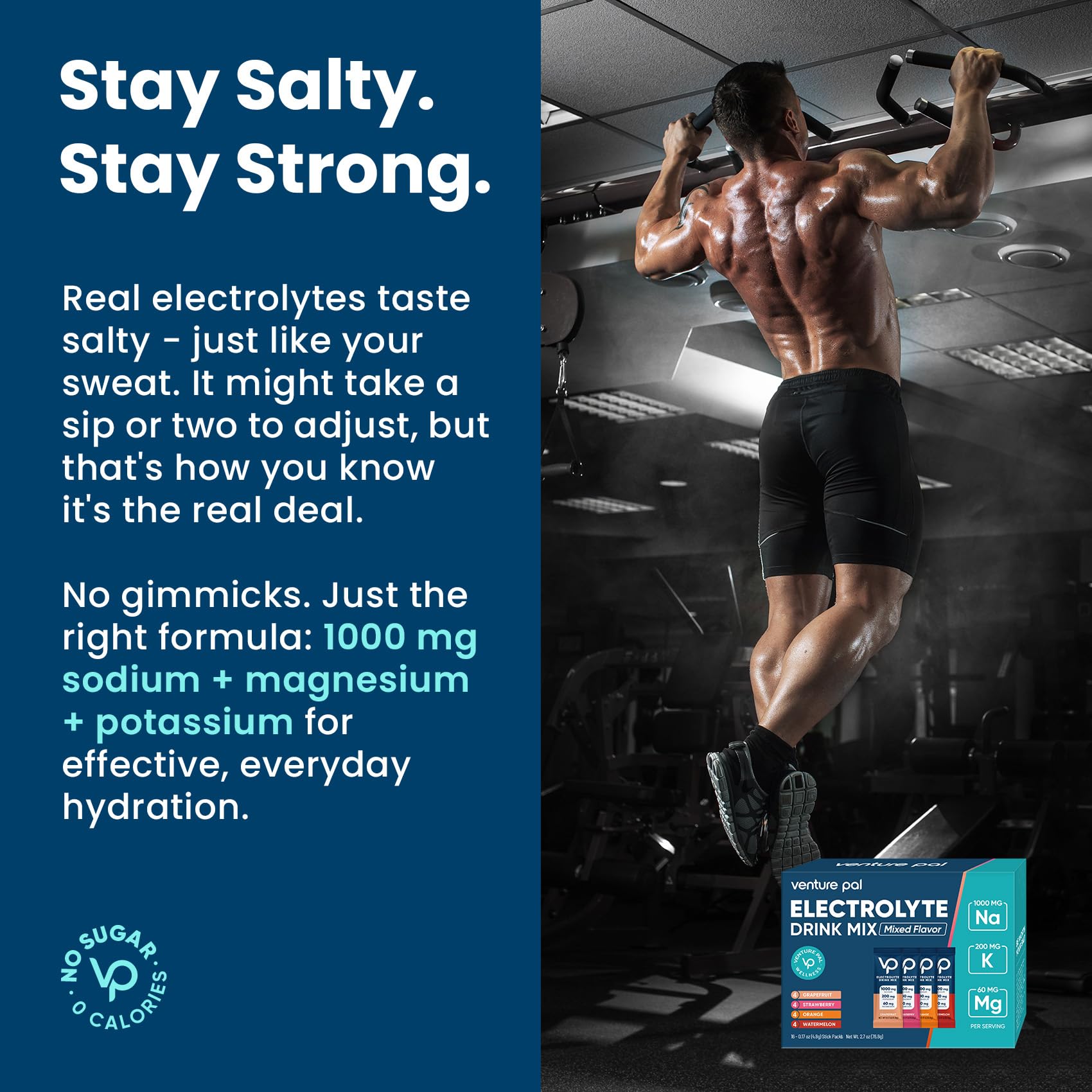 Venture Pal High Sodium Sugar Free Electrolytes Powder Packet - Hydration Packets with Vitamin, Sodium & Potassium | Zero Calories | Vegan, Keto & Paleo Friendly - Maple Wellness Supplements