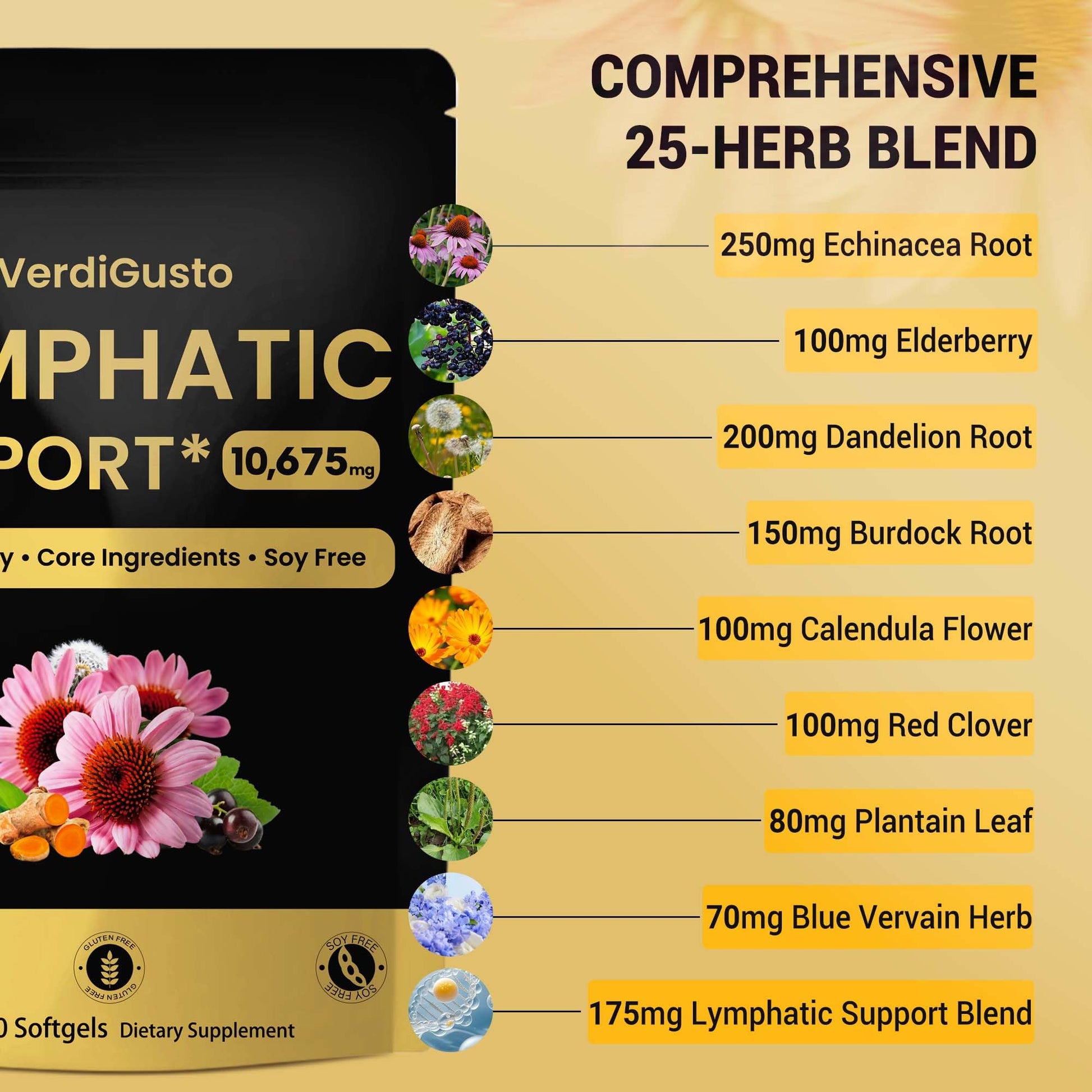 VerdiGusto 10,675mg Lymphatic Supplement | 25-in-1 Blend with Echinacea, Elderberry, Dandelion | 240 Softgels, 80 Day Supply | Lymph System Support | Soy Free, Non-GMO, Gluten Free - Maple Wellness Supplements