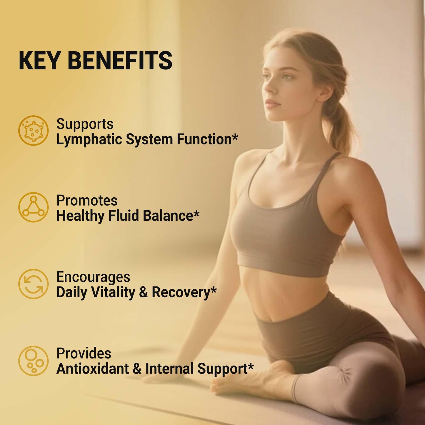 VerdiGusto 10,675mg Lymphatic Supplement | 25-in-1 Blend with Echinacea, Elderberry, Dandelion | 240 Softgels, 80 Day Supply | Lymph System Support | Soy Free, Non-GMO, Gluten Free - Maple Wellness Supplements