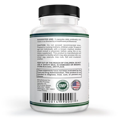 VESALIX Liver Support Supplement for Adults 40+ – Milk Thistle, Artichoke & Dandelion with Digestive Enzymes – Supports Digestion & Cellular Health – 60 Vegetarian Capsules - Maple Wellness Supplements