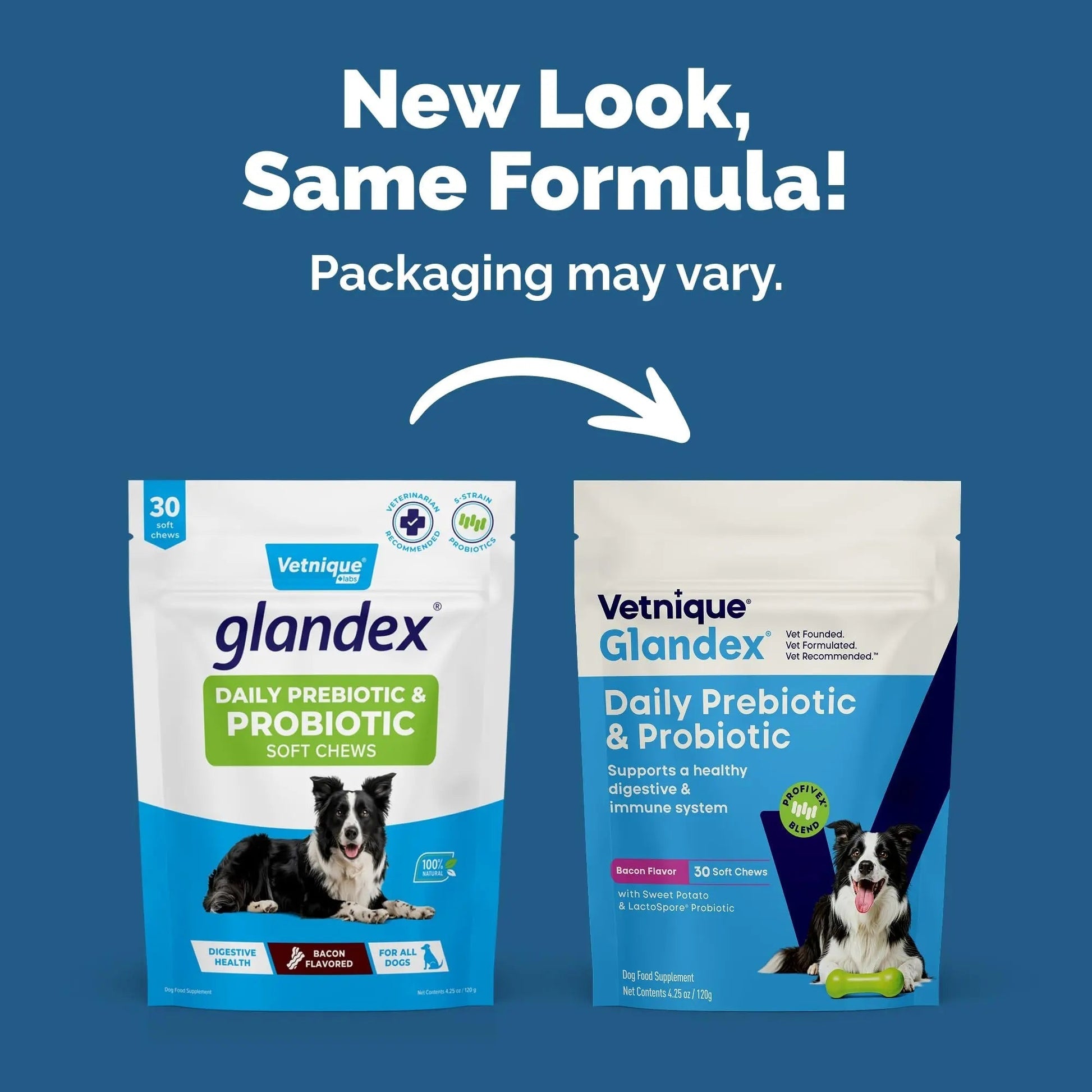 Vetnique Glandex Daily Probiotics for Dogs with Prebiotics to Support Gut Health with Fiber and Digestive Enzymes, Dog Probiotic Chews or Powders (30ct Chews, Bacon Chews) - Maple Wellness Supplements