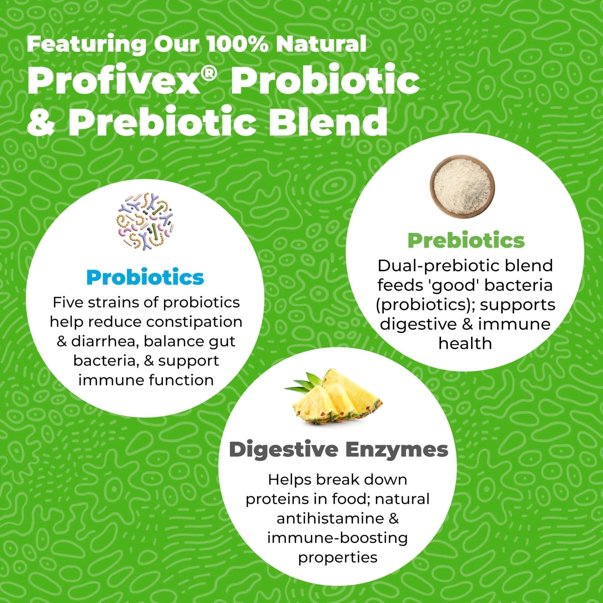 Vetnique Glandex Daily Probiotics for Dogs with Prebiotics to Support Gut Health with Fiber and Digestive Enzymes, Dog Probiotic Chews or Powders (30ct Chews, Bacon Chews) - Maple Wellness Supplements