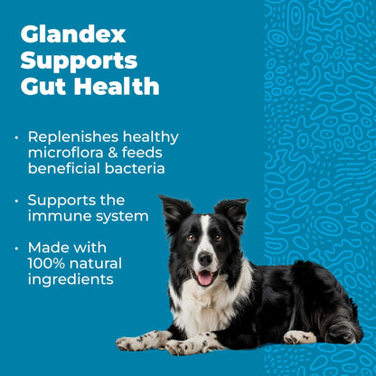 Vetnique Glandex Daily Probiotics for Dogs with Prebiotics to Support Gut Health with Fiber and Digestive Enzymes, Dog Probiotic Chews or Powders (30ct Chews, Bacon Chews) - Maple Wellness Supplements