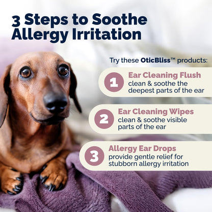 Vetnique Oticbliss Cat & Dog Ear Infection Treatment | Dog Ear Allergy Relief Drops, MicroSilver Yeast Infection Treatment for Dogs, Hydrocortisone for Itching, Redness Swelling (Ear Allergy Drops) - Maple Wellness Supplements