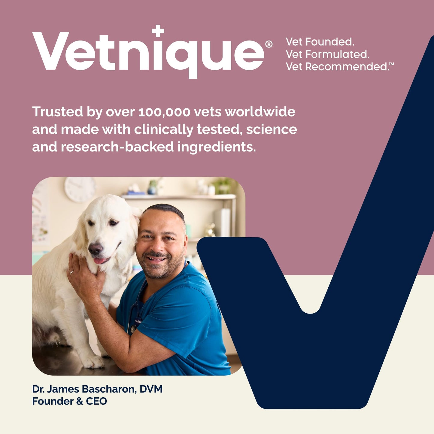 Vetnique Oticbliss Cat & Dog Ear Infection Treatment | Dog Ear Allergy Relief Drops, MicroSilver Yeast Infection Treatment for Dogs, Hydrocortisone for Itching, Redness Swelling (Ear Allergy Drops) - Maple Wellness Supplements