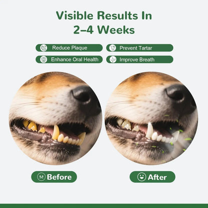 Vetriuntrix Dog Teeth Cleaning Powder, Dental Powder for Dogs Teeth Tartar Remove & Plaque Off, Fresh Breath for Dogs with Natural Plants Blend, Enzymes and Postbiotics, 80g - Maple Wellness Supplements