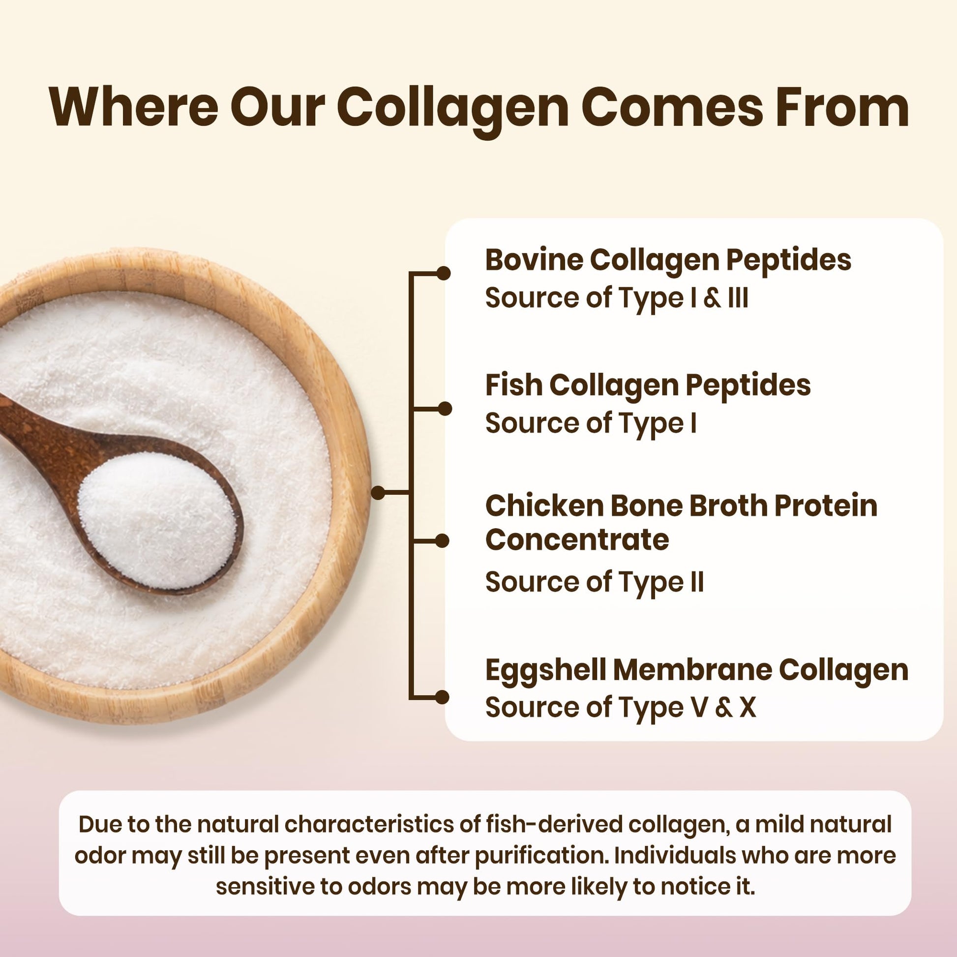 VEV Multi Collagen Peptides Powder, 16 oz (41 Servings) – Type I, II, III, V, X, Hydrolyzed Collagen, Hyaluronic Acid, Biotin, Vitamin C - Maple Wellness Supplements