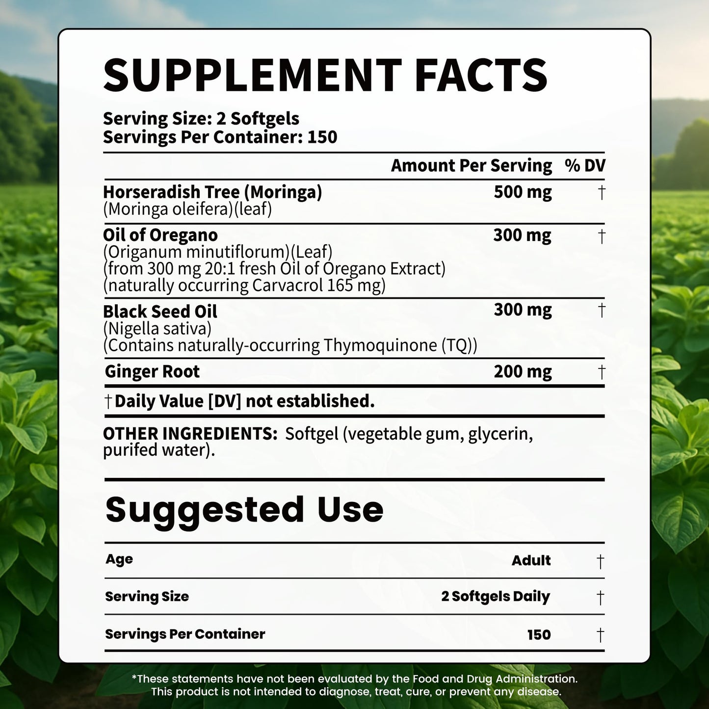 VEV Oil of Oregano with Black Seed Oil & Moringa, Organic, 300 Softgels, Aceite de Orégano, Carvacrol-Rich, Opaque Airtight Packaging - Maple Wellness Supplements