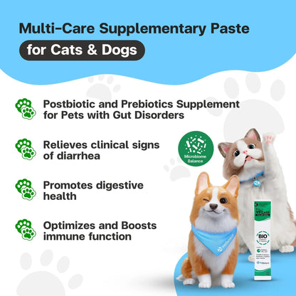 VFcare BIO Supplement for Cats & Dogs – Anti Diarrhea for Dogs, Gut Health Paste with Postbiotics, Prebiotics, FOS, L-137, Yeast Extract – Anti Diarrhea for Dogs, 30 Sachets - Maple Wellness Supplements