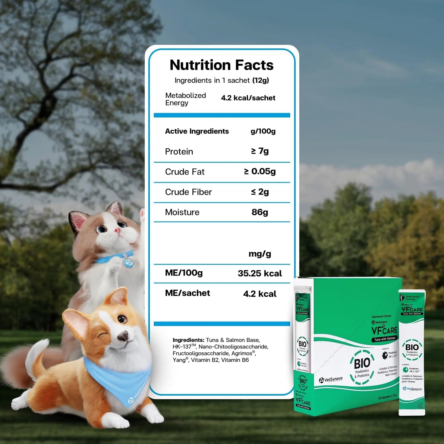VFcare BIO Supplement for Cats & Dogs – Anti Diarrhea for Dogs, Gut Health Paste with Postbiotics, Prebiotics, FOS, L-137, Yeast Extract – Anti Diarrhea for Dogs, 30 Sachets - Maple Wellness Supplements