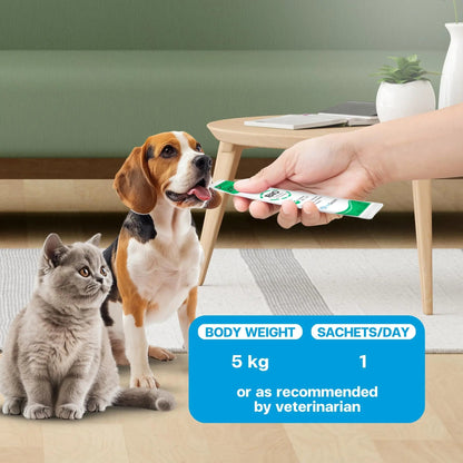 VFcare BIO Supplement for Cats & Dogs – Anti Diarrhea for Dogs, Gut Health Paste with Postbiotics, Prebiotics, FOS, L-137, Yeast Extract – Anti Diarrhea for Dogs, 30 Sachets - Maple Wellness Supplements
