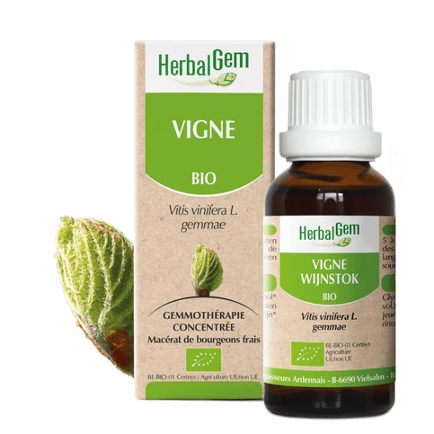 Vigne BIO Macérat mère bourgeons Flacon 30 ml HERBALGEM - Maple Wellness Supplements