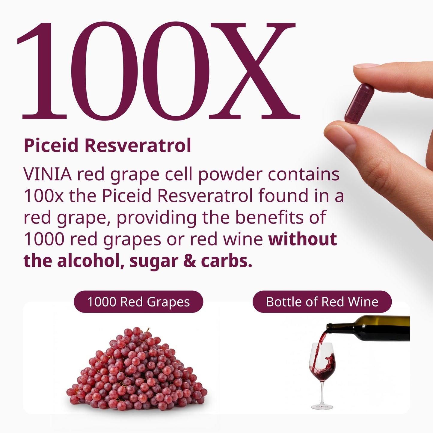 VINIA Piceid Resveratrol Supplement Capsules. Increases Blood Flow and Nitric Oxide. Blood Pressure and Heart Health Support - Maple Wellness Supplements