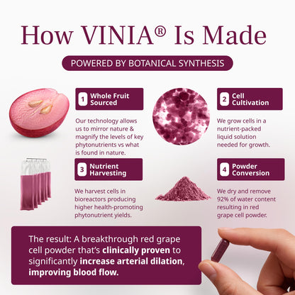 VINIA Piceid Resveratrol Supplement Capsules. Increases Blood Flow and Nitric Oxide. Blood Pressure and Heart Health Support - Maple Wellness Supplements