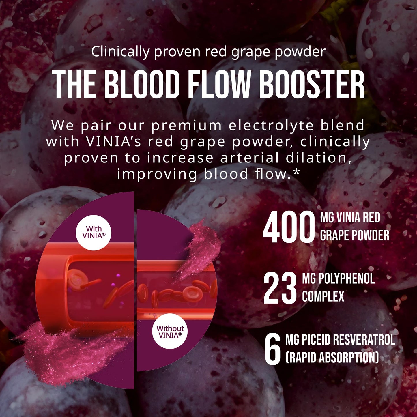 VINIA Resveratrol Electrolyte Hydration Powder Mix | Boost Blood Flow & Circulation | Sea Salt, Coconut Water Potassium - Maple Wellness Supplements