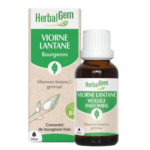 Viorne BIO Macérat mère Flacon 30 ml HERBALGEM - Maple Wellness Supplements