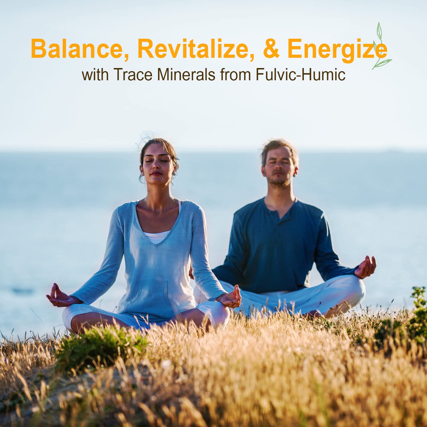 Vital Earth Minerals Fulvic Humic Mineral Blend Liquid – Fulvic Acid Supplement with 70+ Trace Minerals, Electrolytes for Recovery - Maple Wellness Supplements