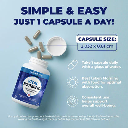 Vital Nootropic 12-in-1 Brain Supplement for Memory, Focus & Energy Support – L-Tyrosine, Bacopa, Rhodiola, Caffeine, B Vitamins – Cognitive Balance Capsules for Men & Women-30 Days Supply - Maple Wellness Supplements