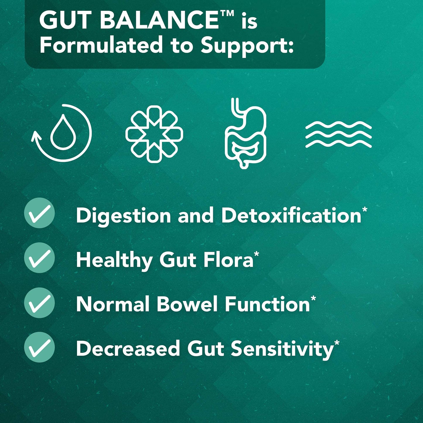 Vital Plan Gut Balance Supplement by Dr. Bill Rawls - Advanced Digestive Health Support Formula w/Clinical-Grade Slippery Elm Bark, Berberine & Dandelion Extract for Women & Men (180 Capsules) - Maple Wellness Supplements
