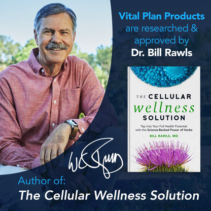 Vital Plan Gut Balance Supplement by Dr. Bill Rawls - Advanced Digestive Health Support Formula w/Clinical-Grade Slippery Elm Bark, Berberine & Dandelion Extract for Women & Men (180 Capsules) - Maple Wellness Supplements