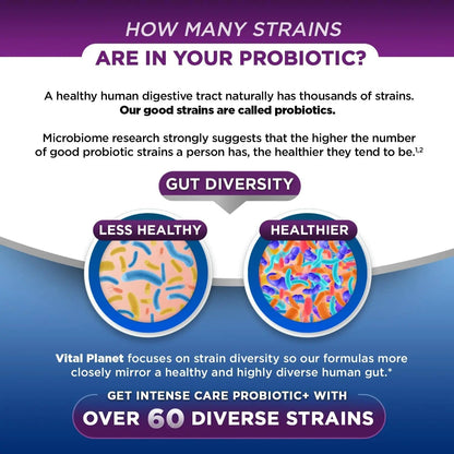 Vital Planet - Intense Care Brain & Mood Probiotics, Organic Prebiotics, Postbiotics, Parabiotics, Complete 4-in-1 Health Supplement for Adults, 65 Billion CFU, 67 Strains, Digestive and Immune 30 ct - Maple Wellness Supplements