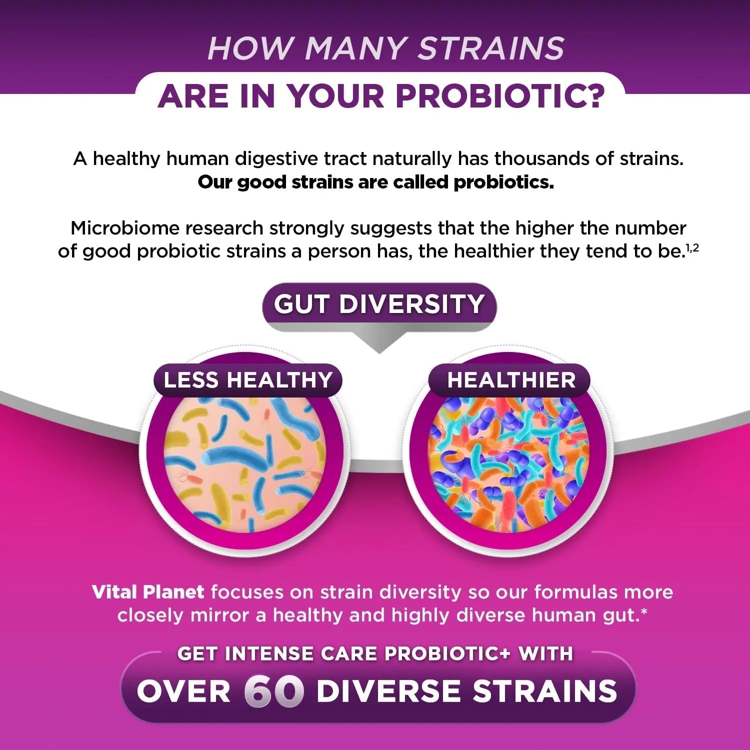 Vital Planet - Intense Care Vaginal pH & Urinary Probiotics for Women Plus Organic Prebiotics, Postbiotics, and Parabiotics, 65 Billion CFU and 64 Strains, Immune and Digestive Health 30 ct - Maple Wellness Supplements