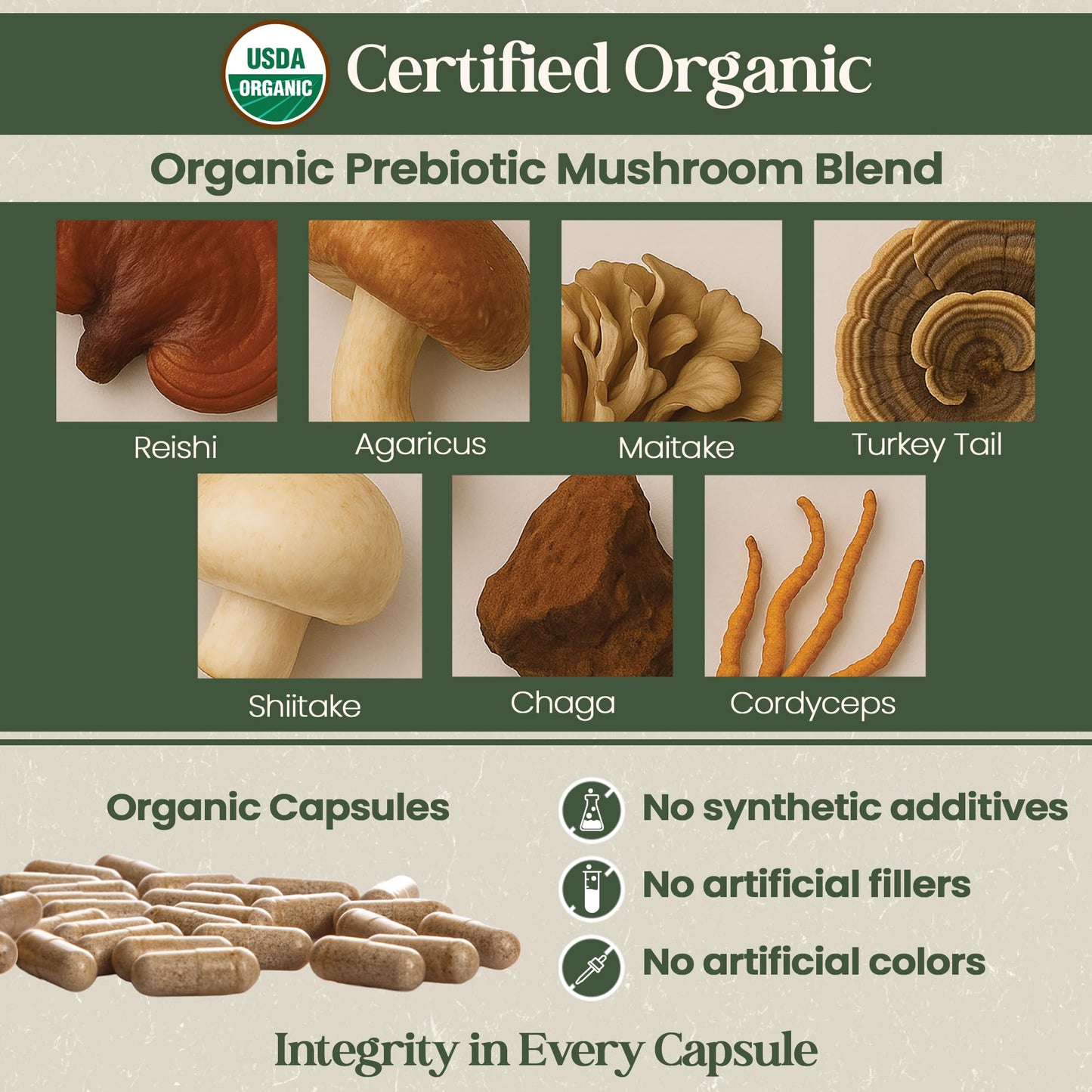 Vital Planet - Organic Flora Probiotics for Gut Health Balance, Shelf Stable Probiotic 30 Billion CFU, 60 Diverse Strains, Prebiotic Organic Mushroom Blend - Maple Wellness Supplements